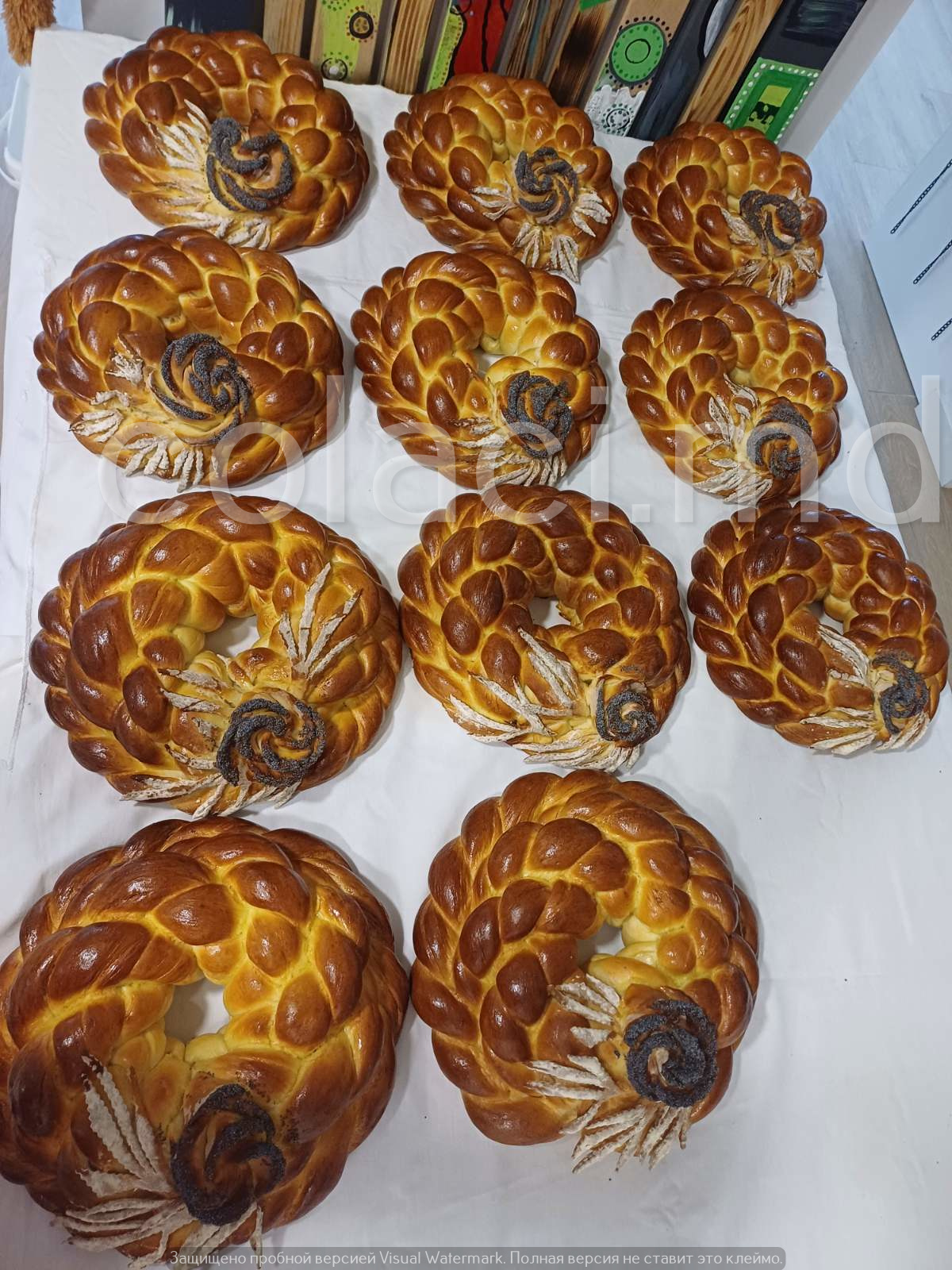 Colaci (437) – Colaci Artizanali